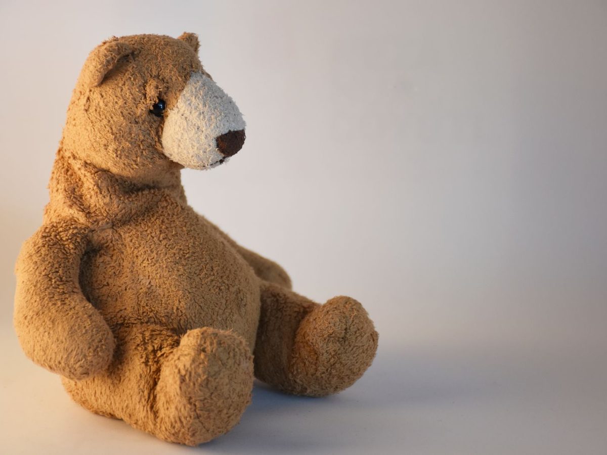 Oso de peluche marrón sentado