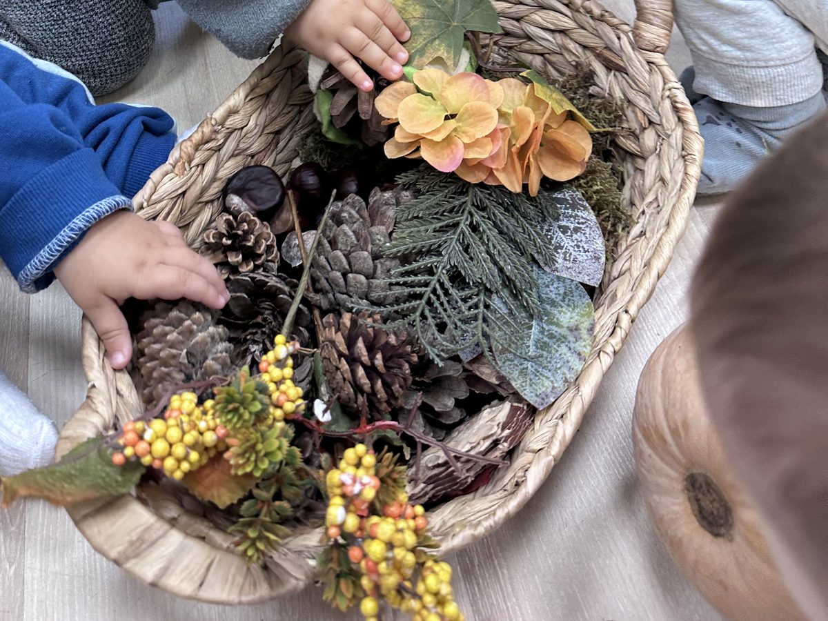 Cesto de mimbre con piñas, flores secas y objetos naturales