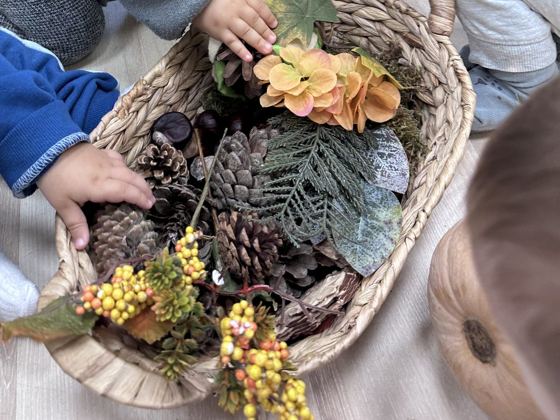 Cesto de mimbre con piñas, flores secas y objetos naturales