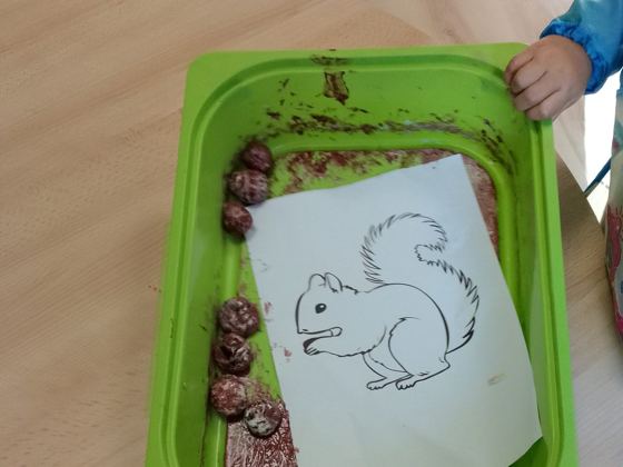 Bandeja con castañas, piñas y un dibujo de ardilla