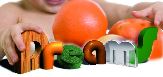 Espacio web familias Dreams